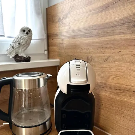Apartment Rynek - Self Check-in 20h Olesnica (Lower Silesia)